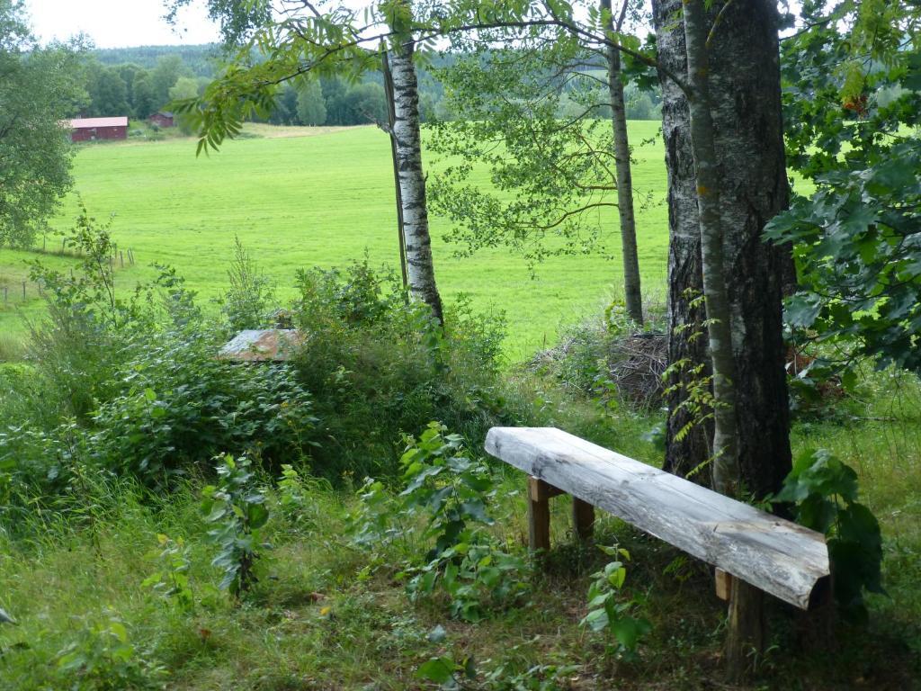 Praestmyrens Vandrarhem Ransäter Rom bilde